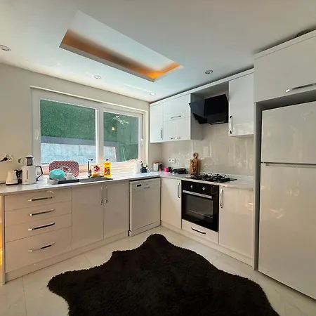 Villa Luxury In Mountain Geyikbayiri